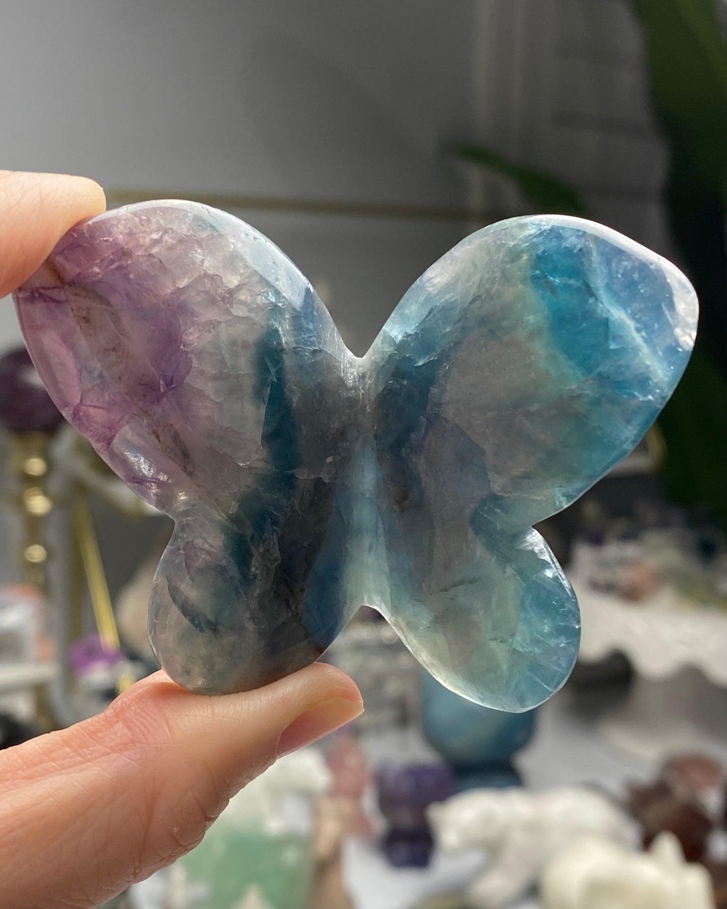 Rainbow Fluorite Butterfly