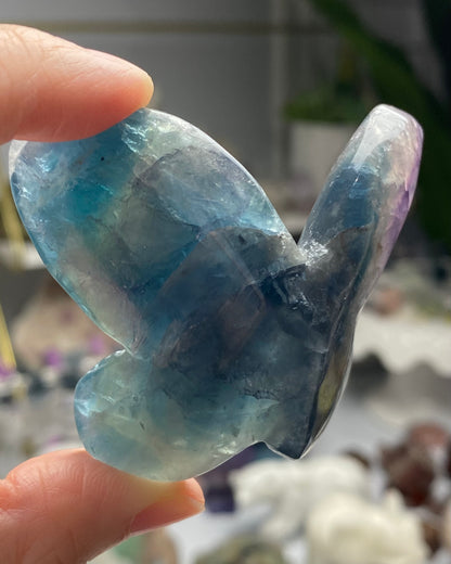 Rainbow Fluorite Butterfly