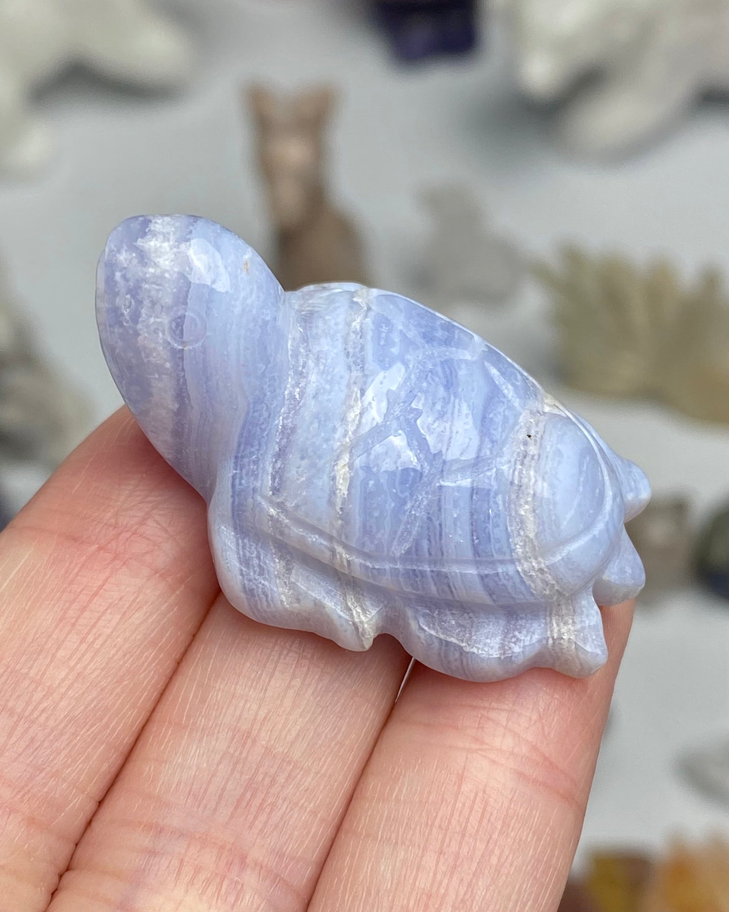 Blue Lace Agate Sea Turtle