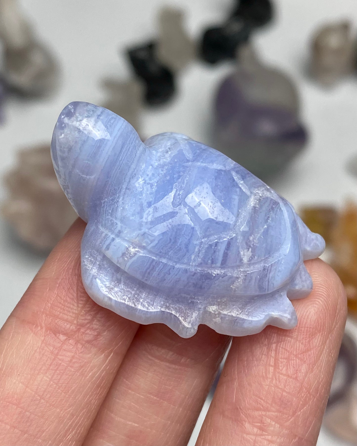 Blue Lace Agate Sea Turtle