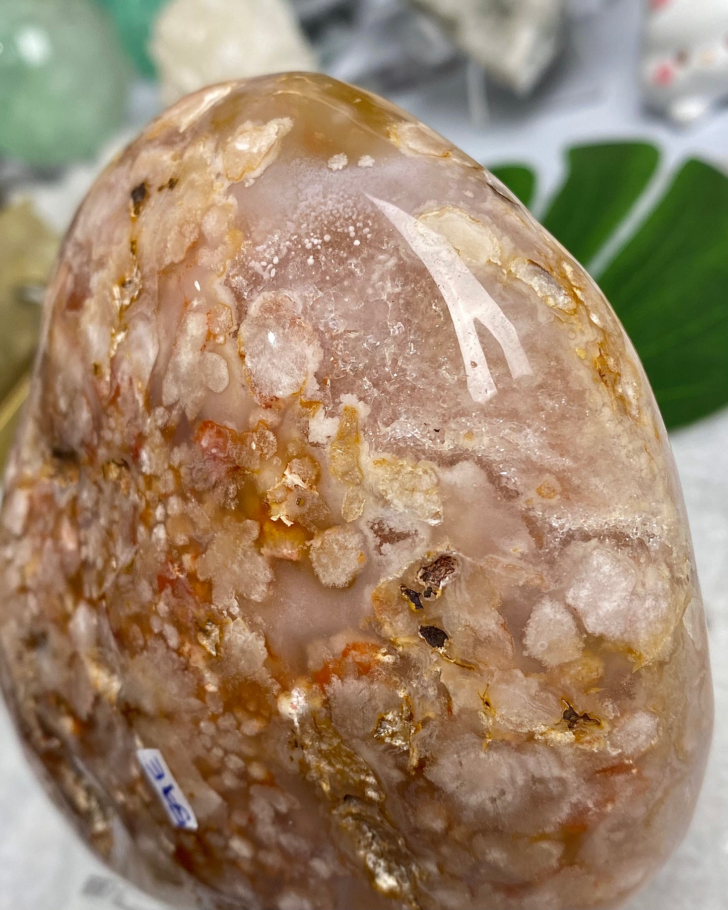 Amethyst Flower Agate Carnelian Freeform