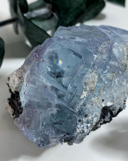 Blue Cubic Fluorite with Wolframite from Yaogangxian