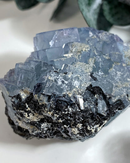 Blue Cubic Fluorite with Wolframite from Yaogangxian