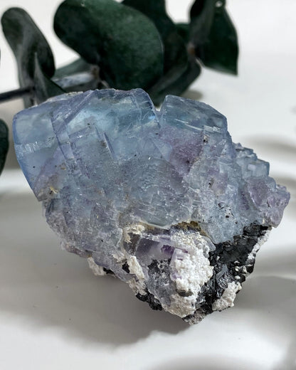 Blue Cubic Fluorite with Wolframite from Yaogangxian