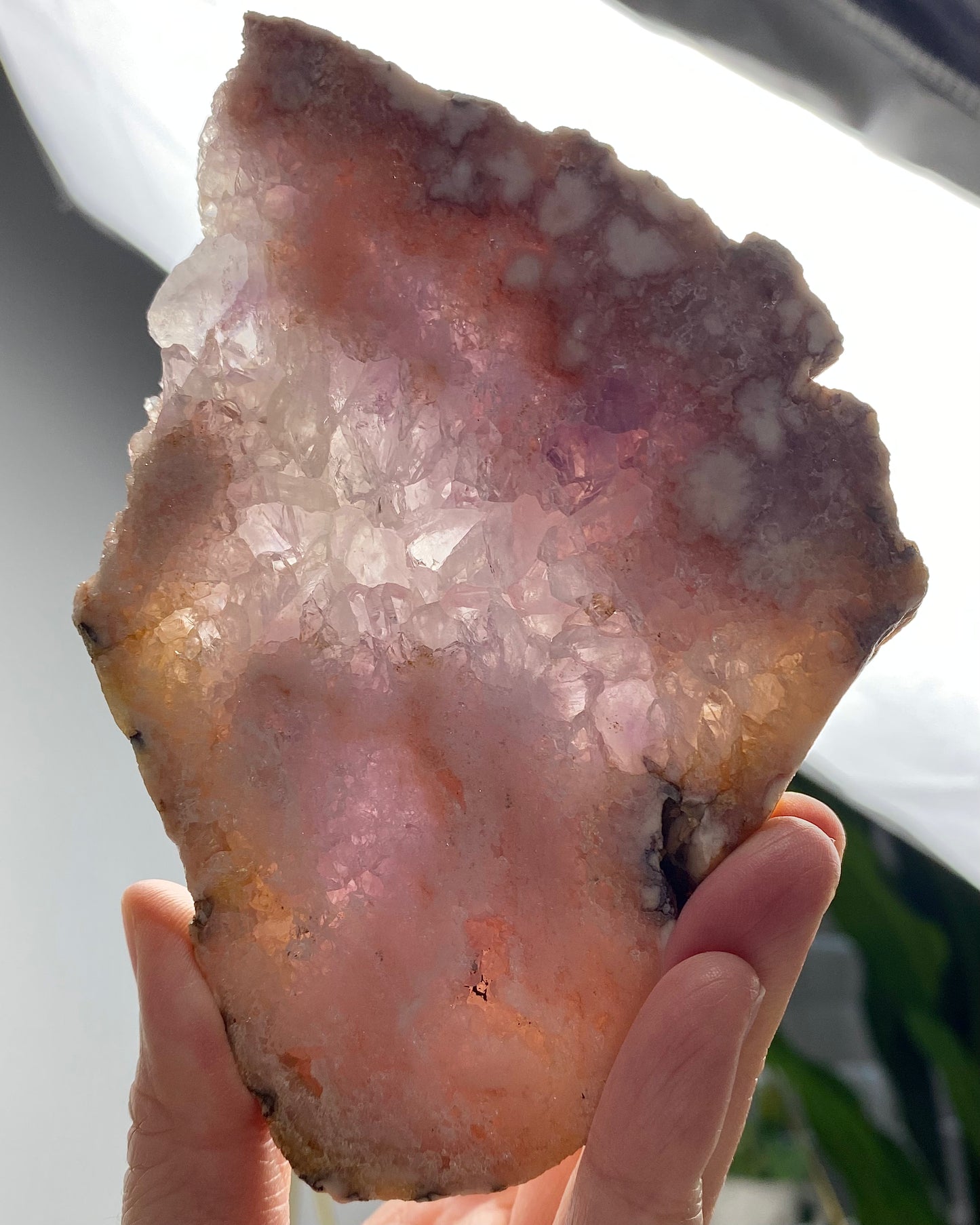 Flower Agate Sparkly Druzy Amethyst Slab