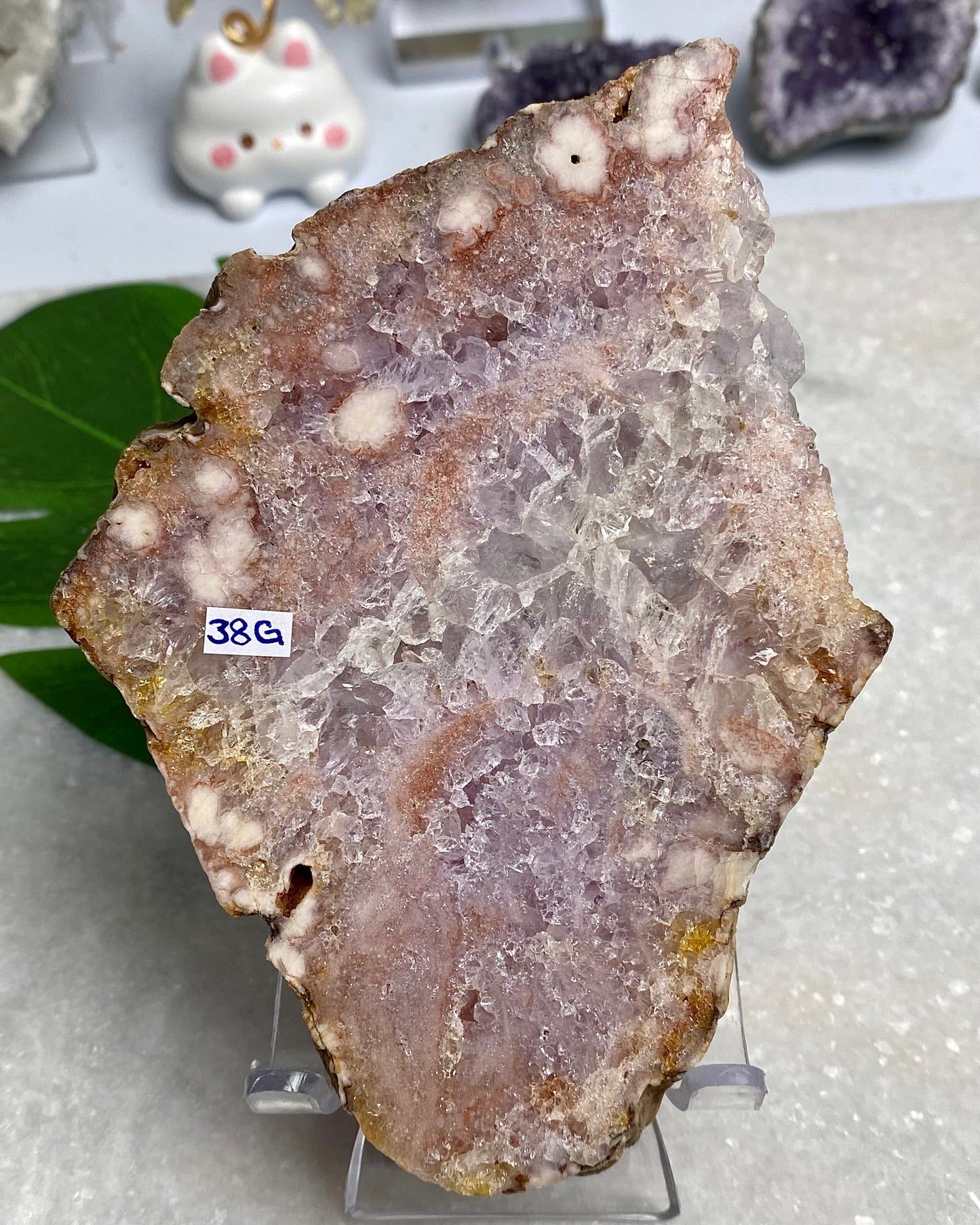 Flower Agate Sparkly Druzy Amethyst Slab