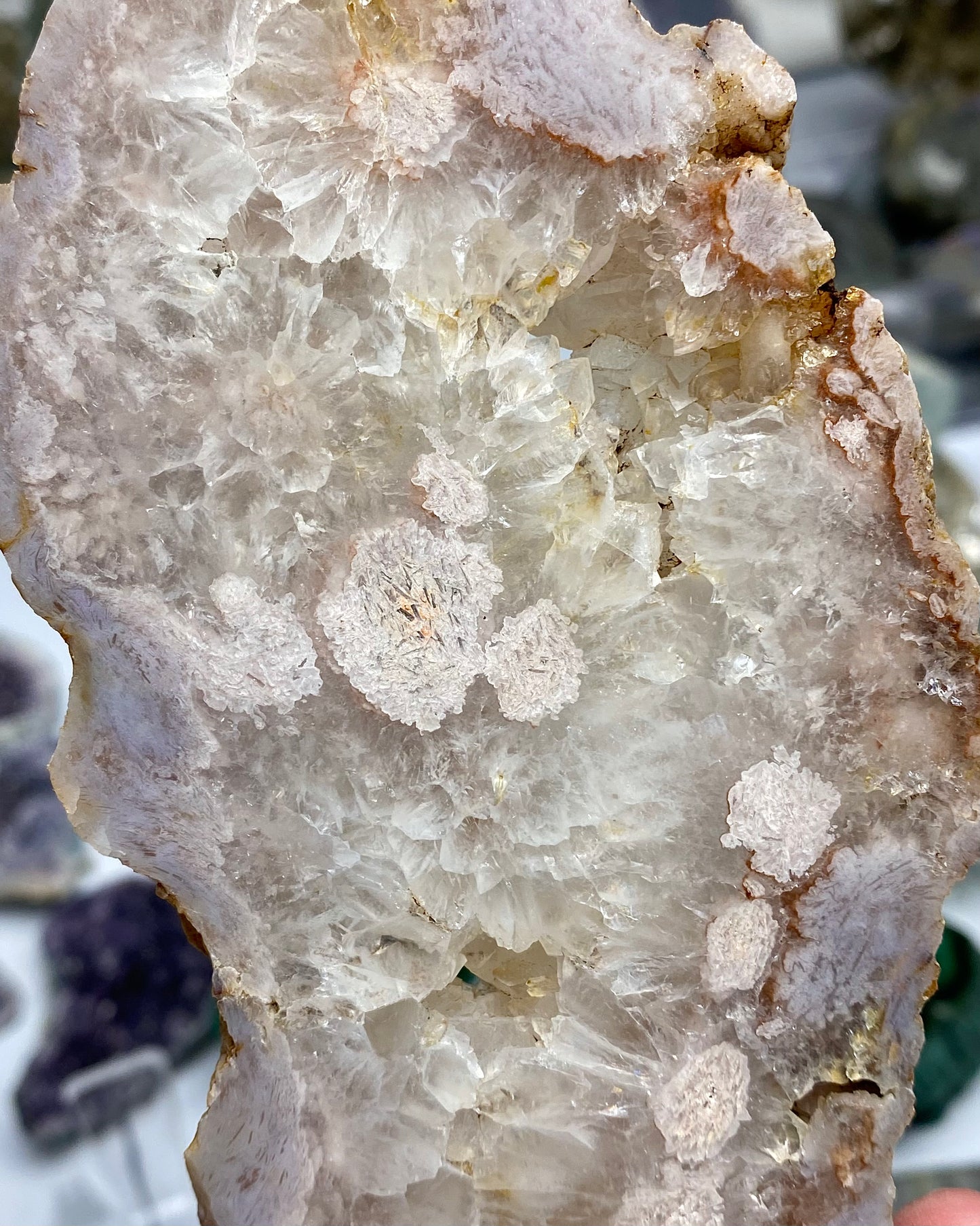 Flower Agate Druzy Quartz Slab Butterfly Wings