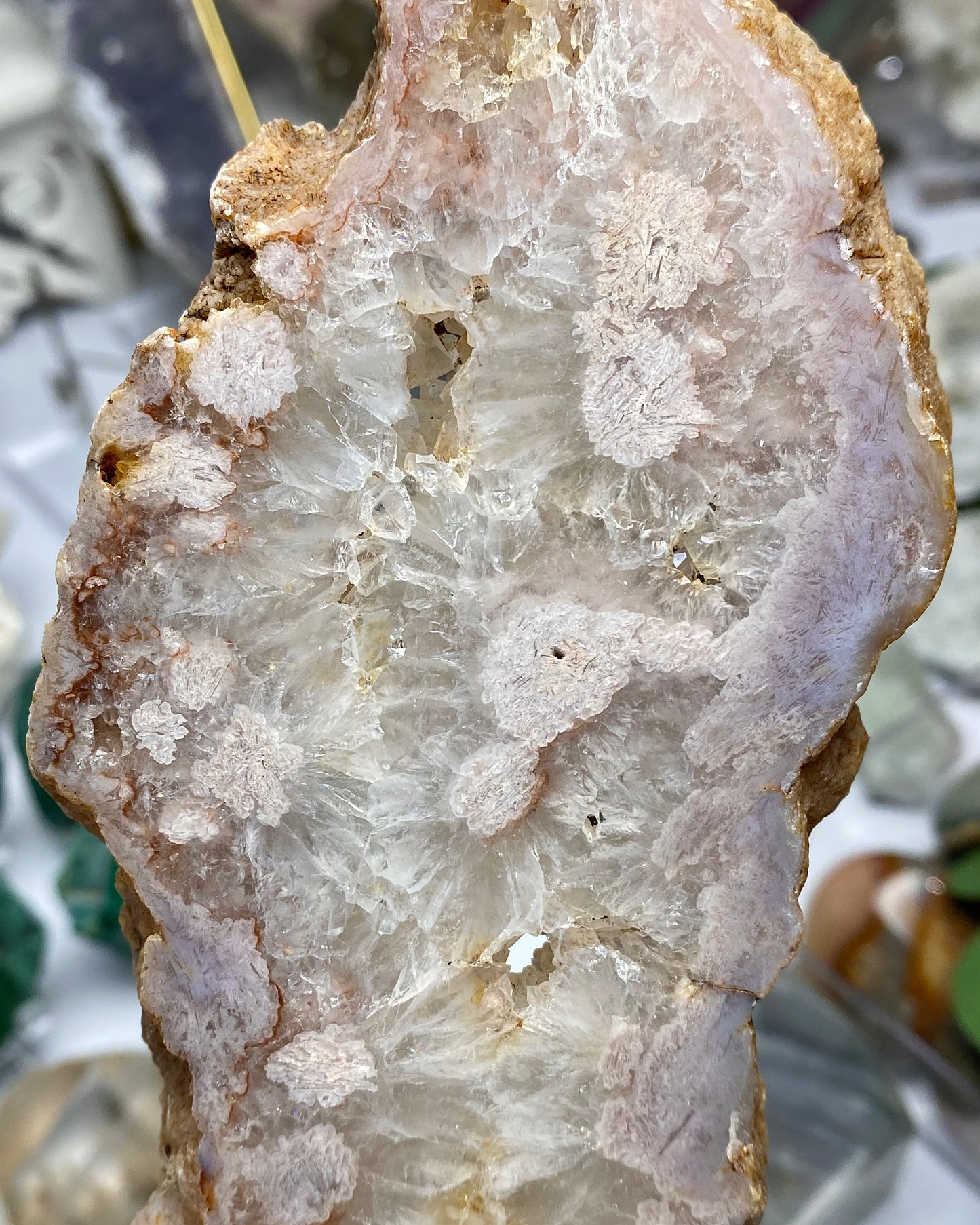 Flower Agate Druzy Quartz Slab Butterfly Wings