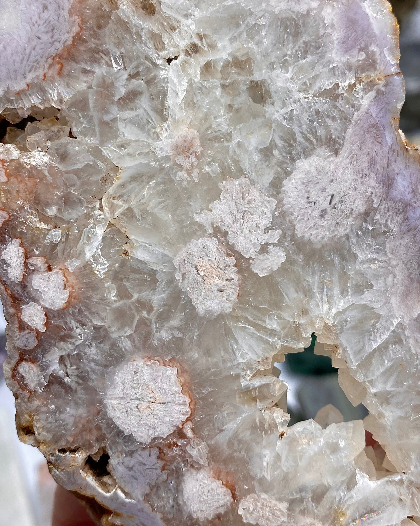 Flower Agate Druzy Quartz Slab Butterfly Wings