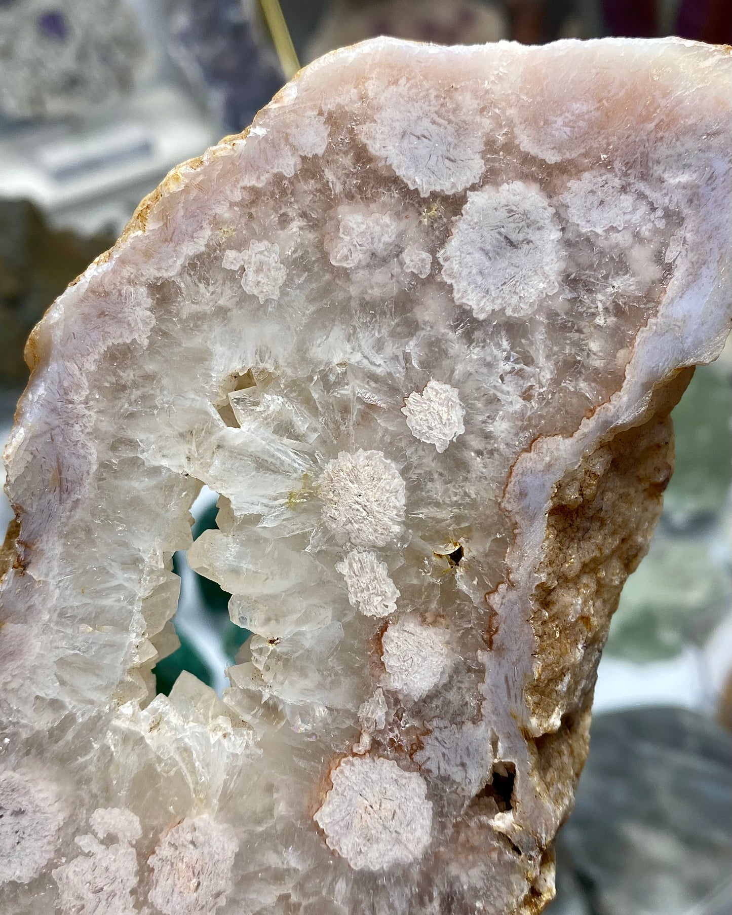 Flower Agate Druzy Quartz Slab Butterfly Wings
