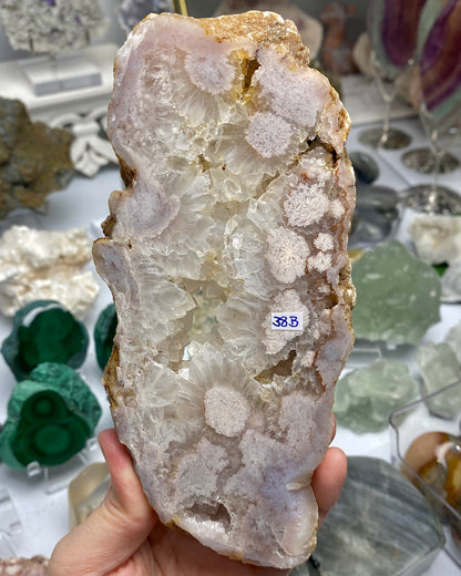 Flower Agate Druzy Quartz Slab Butterfly Wings