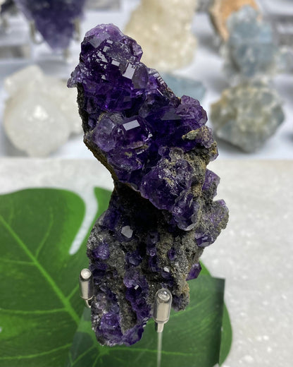 Tanzanite Fluorite