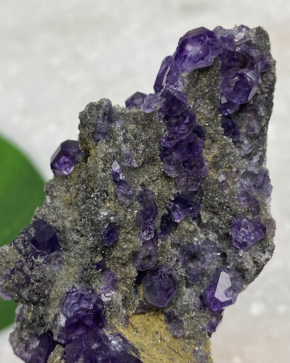 Tanzanite Fluorite