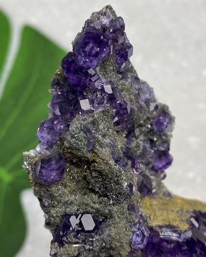 Tanzanite Fluorite