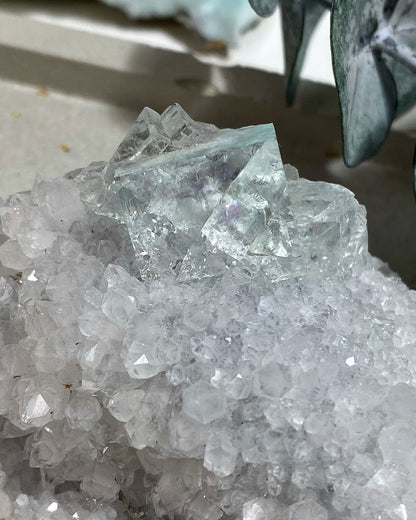 Glassy Clear Green Cubic Fluorite with Quartz