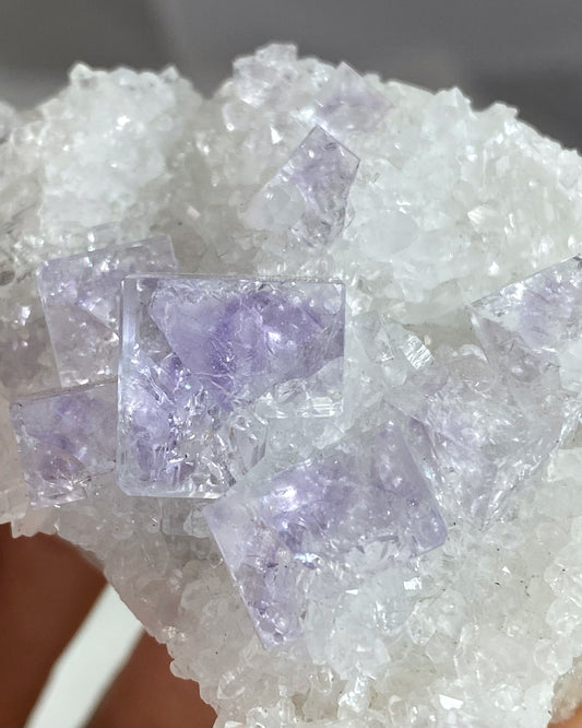 Glassy Clear Purple Cubic Fluorite on Quartz