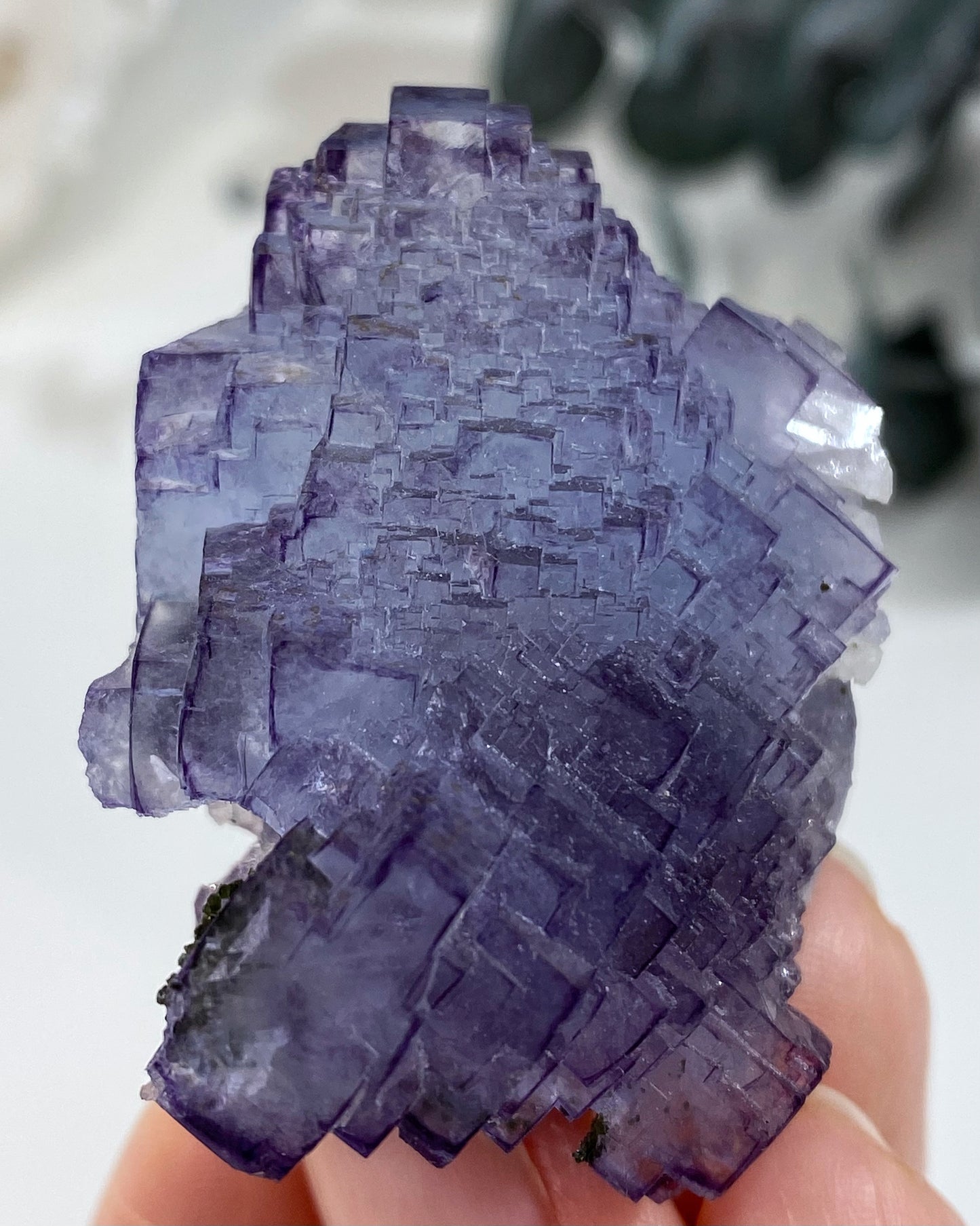 Stunning Periwinkle Purple Blue Stepped Cubic Fluorite Yaogangxian Mine