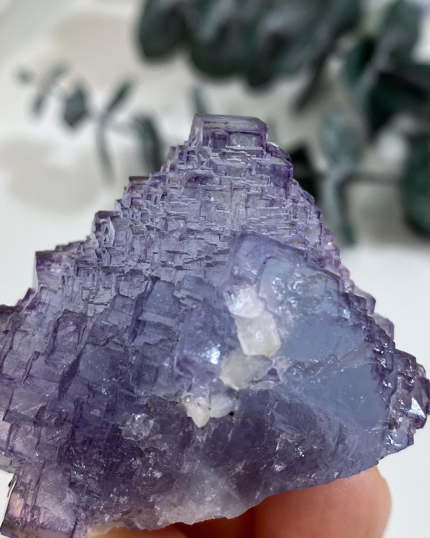 Stunning Periwinkle Purple Blue Stepped Cubic Fluorite Yaogangxian Mine