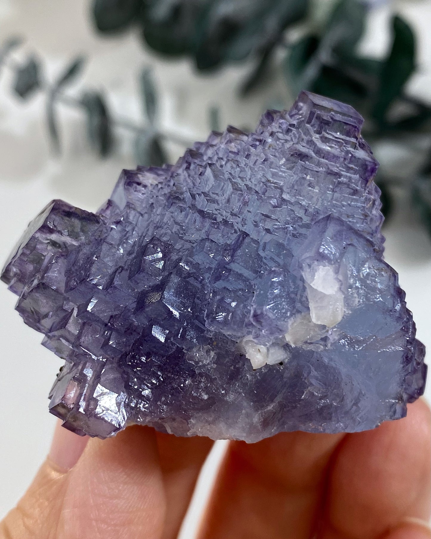 Stunning Periwinkle Purple Blue Stepped Cubic Fluorite Yaogangxian Mine