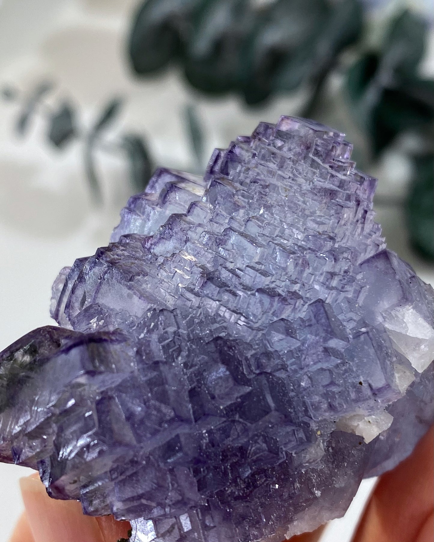 Stunning Periwinkle Purple Blue Stepped Cubic Fluorite Yaogangxian Mine