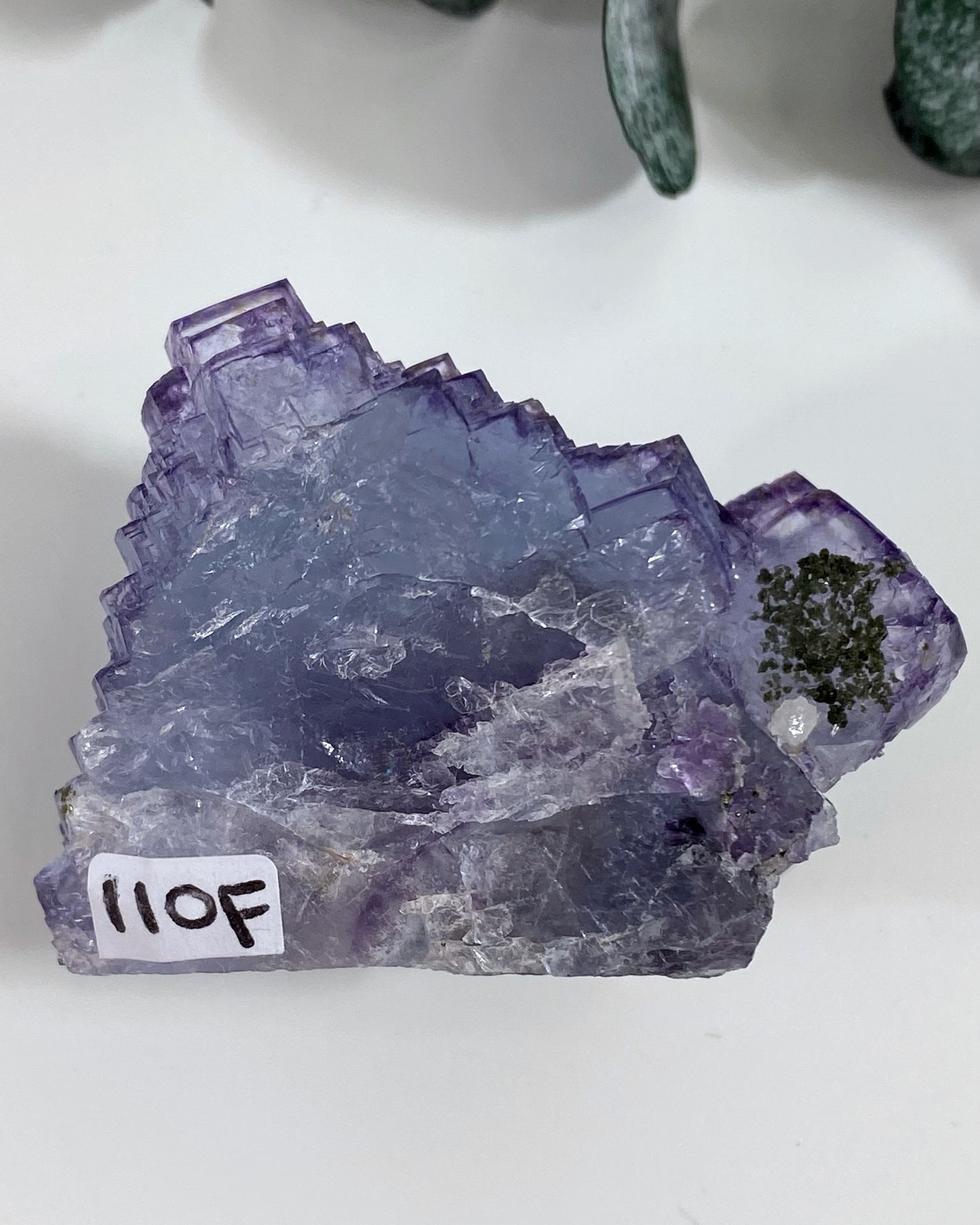 Stunning Periwinkle Purple Blue Stepped Cubic Fluorite Yaogangxian Mine