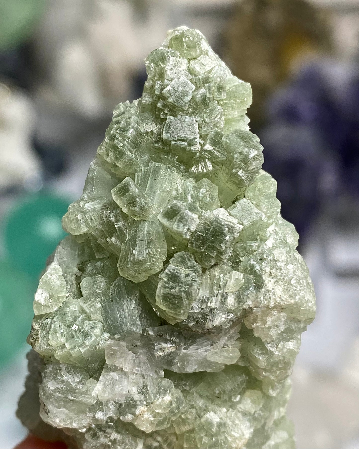 Prehnite