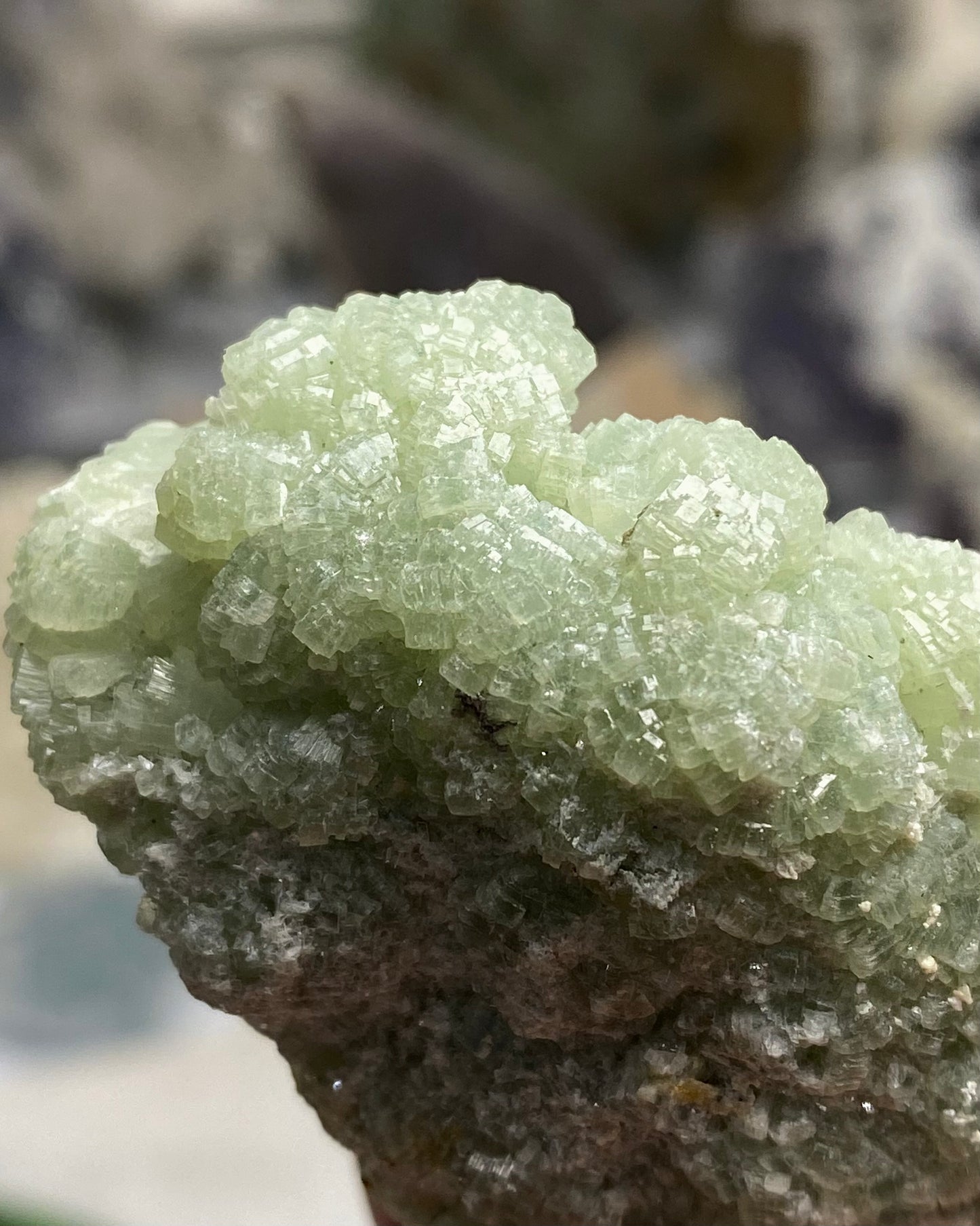 Prehnite