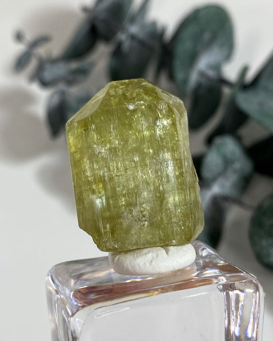 Gemmy Yellow Green Apatite Crystal