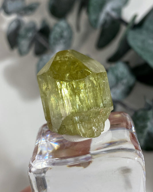 Gemmy Yellow Green Apatite Crystal