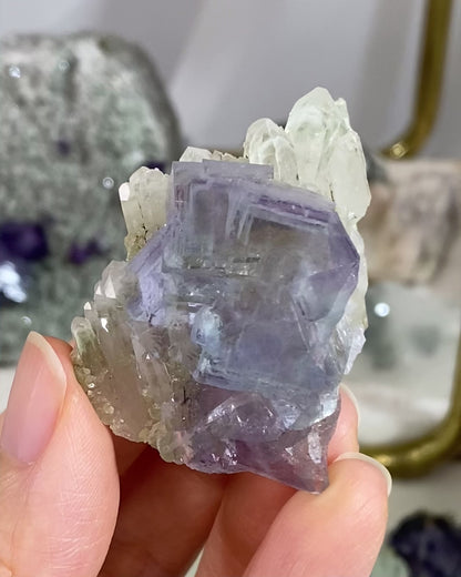 Blue Purple Cubic Fluorite with Phantom Quartz