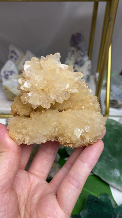 Yellow Flower Cactus Calcite Cluster