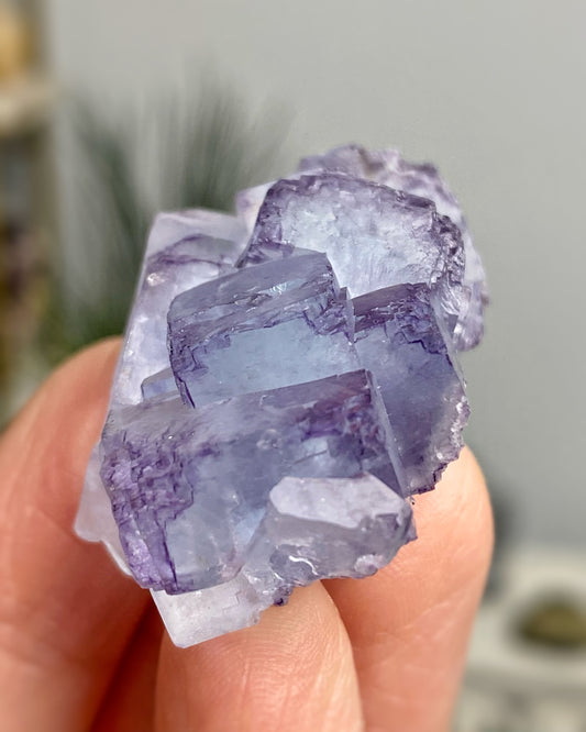 Frosted Blue Purple Cubic Fluorite Yaogangxian Mine
