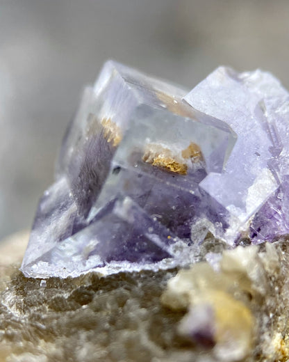 Purple Cubic Fluorite with Orange Inclusion on Muscovite