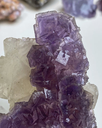 Purple Intertwined Cubic Fluorite with Calcite