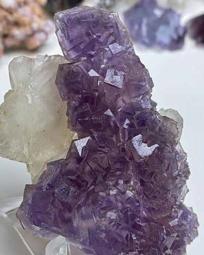 Purple Intertwined Cubic Fluorite with Calcite