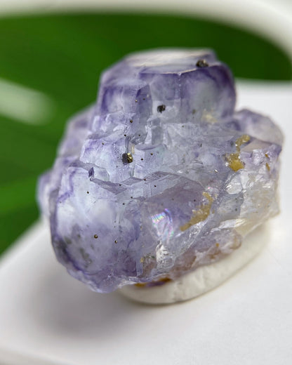 Purple Stepped Cubic Fluorite with Pyrite Crystals