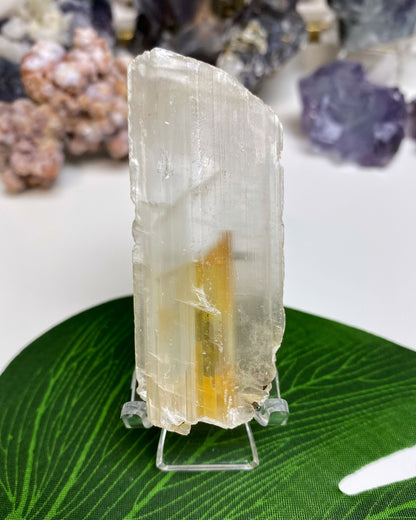 Selenite Crystal with Golden Phantom