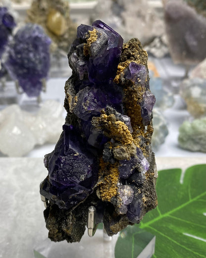 Tanzanite Fluorite