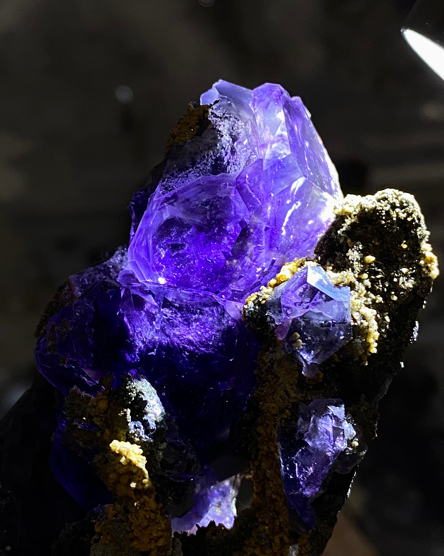 Tanzanite Fluorite