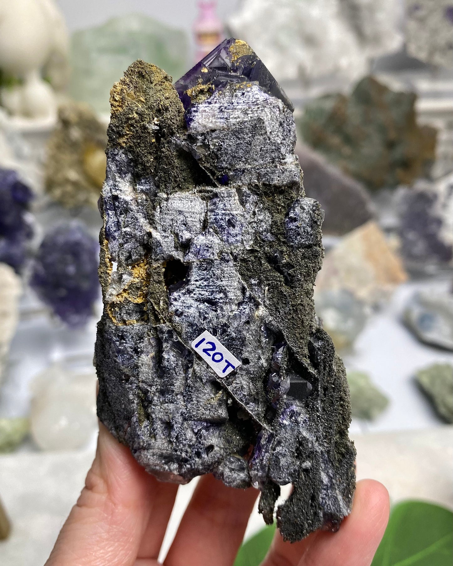 Tanzanite Fluorite