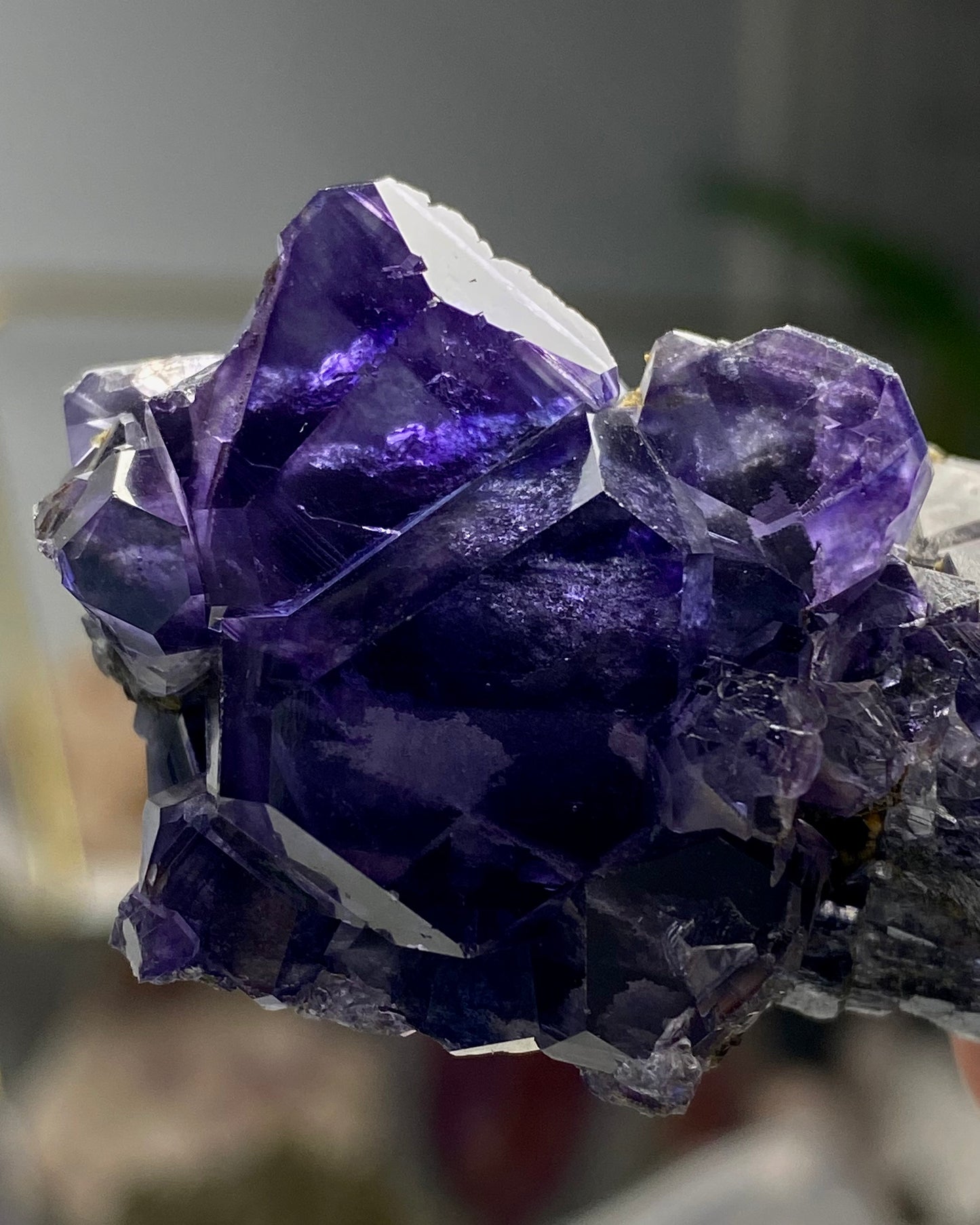 Tanzanite Fluorite
