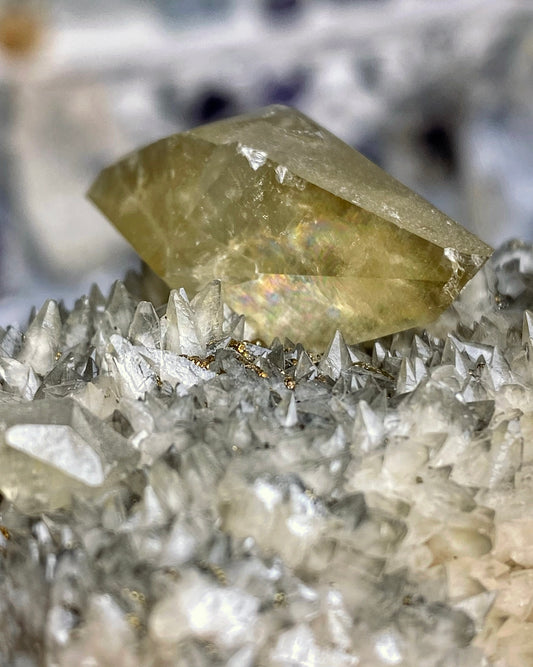 Yellow Scalenohedral Calcite with Golden Chalcopyrite