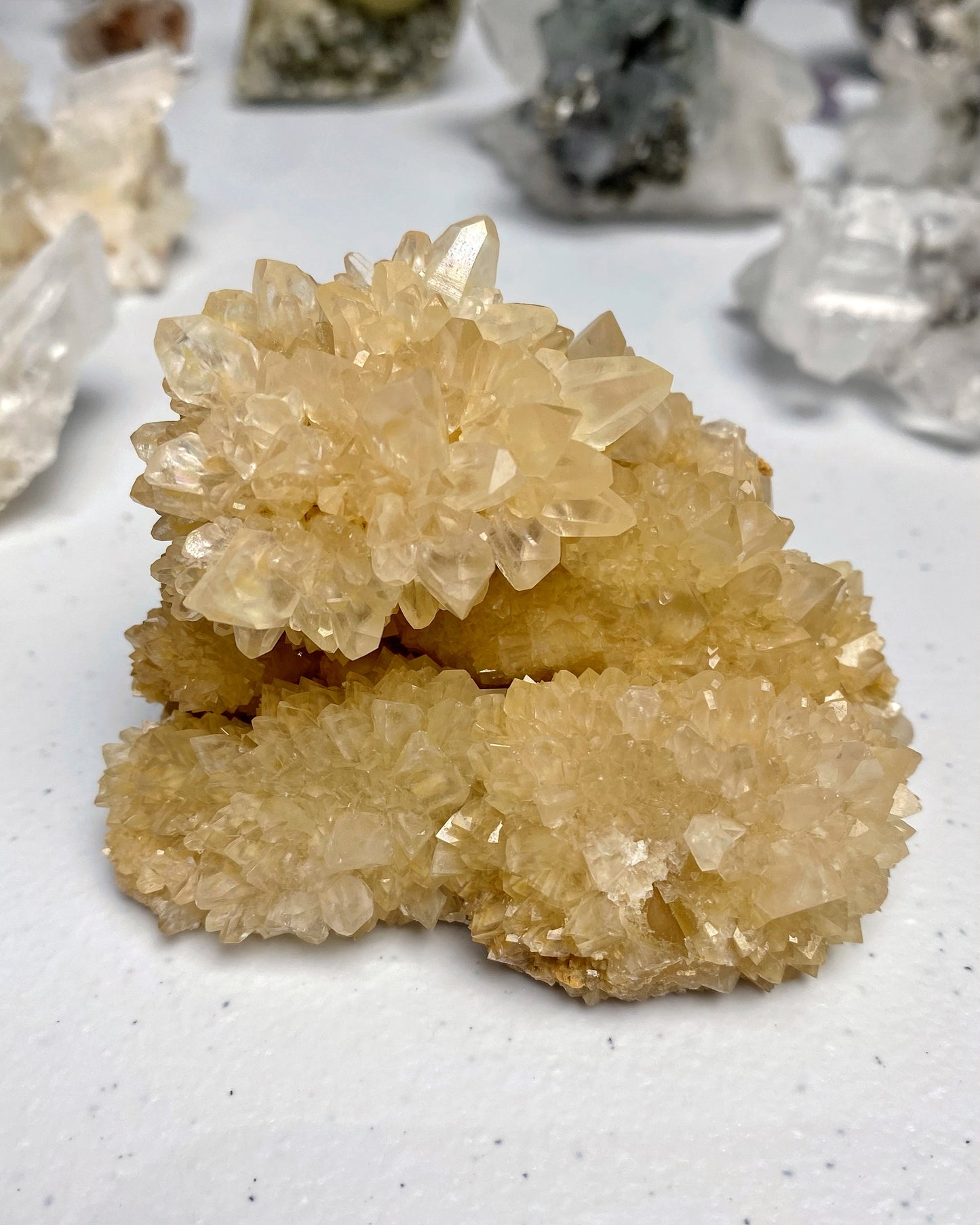 Yellow Flower Cactus Calcite Cluster