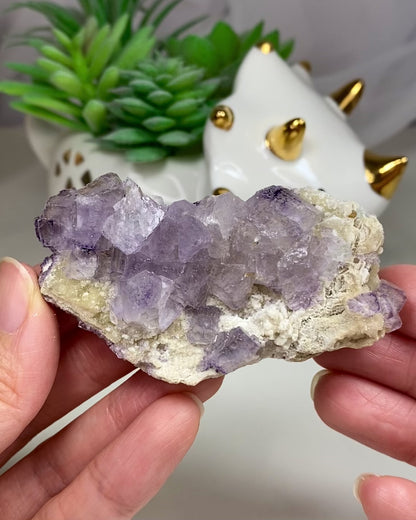 Light Purple Cubic Fluorite and Quartz Cluster