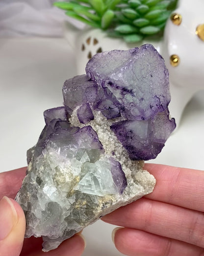 Light Green with Purple Patterns Cubic Fluorite and Quartz Cluster