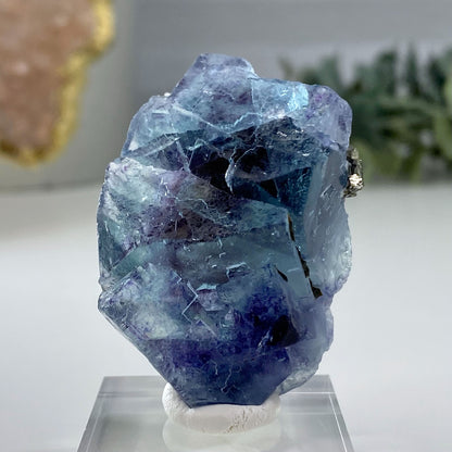 Blue Cubic Fluorite with Pyrite Specimen Yindu Mine