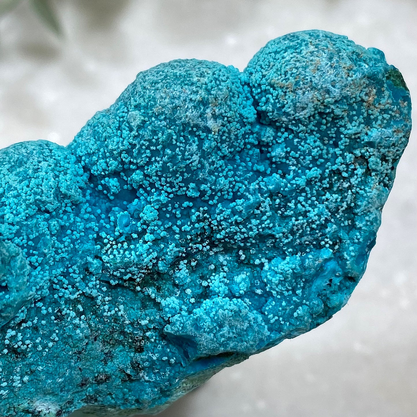 Botryoidal Chrysocolla on Malachite