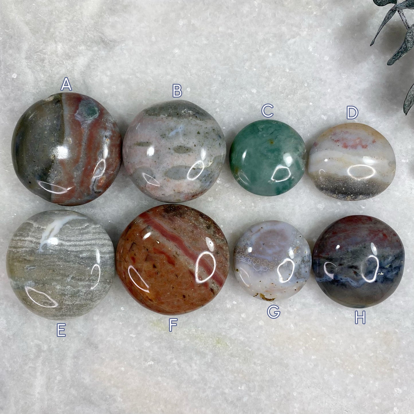 Ocean Orbicular Jasper Round Palm Stone