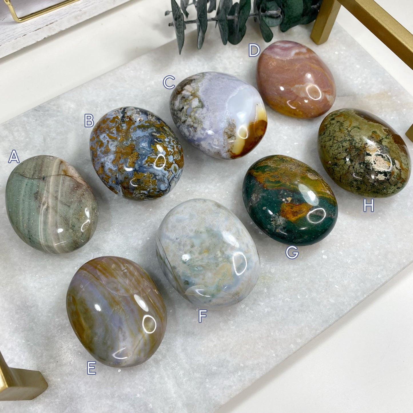 Ocean Orbicular Jasper Thick Palm Stone