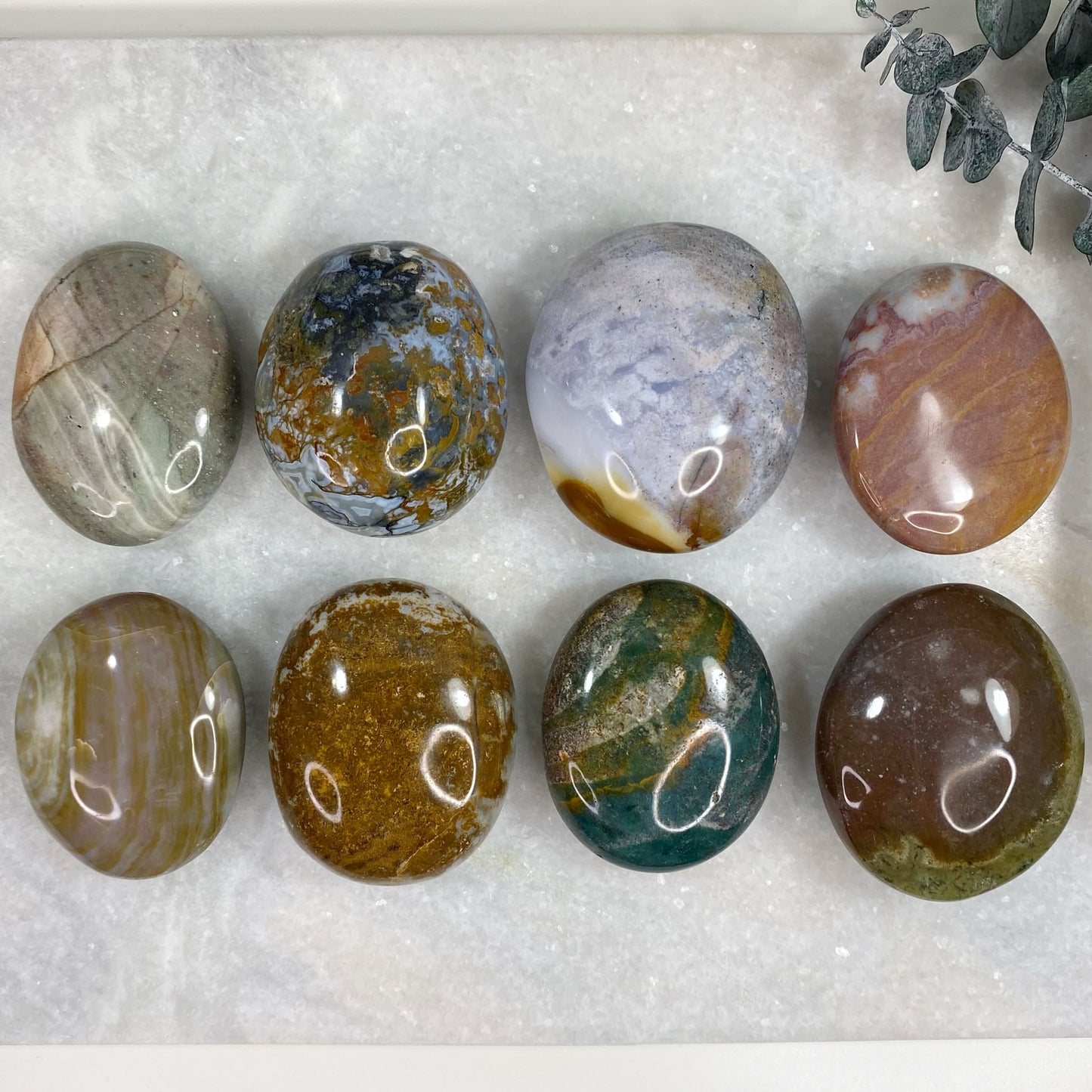 Ocean Orbicular Jasper Thick Palm Stone